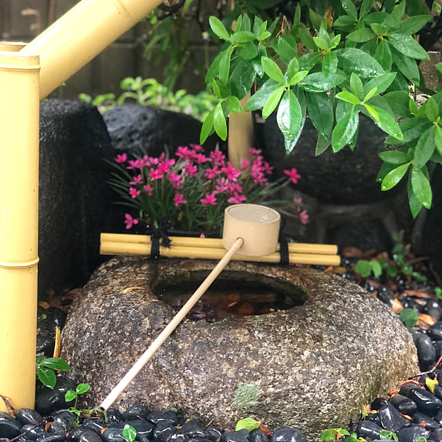 kuikoさんの実例写真