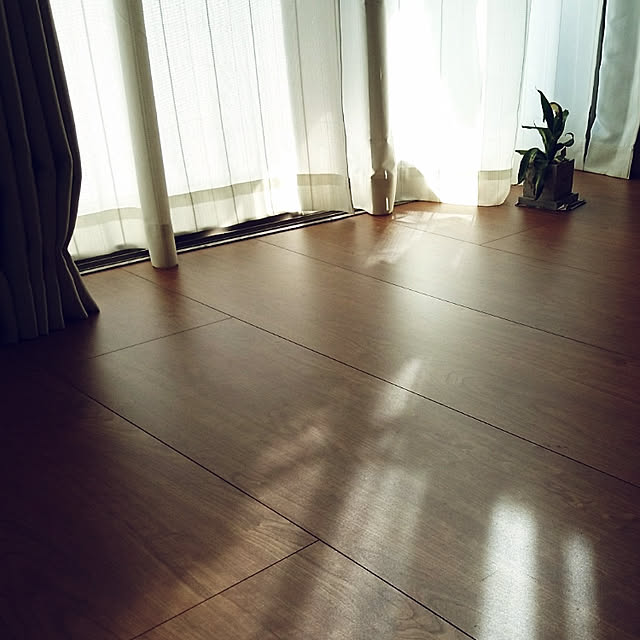 ariさんの実例写真