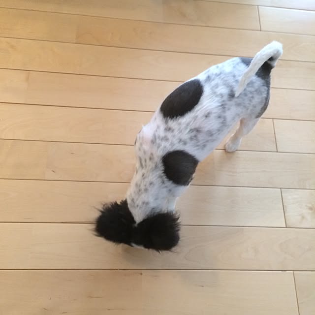yukkoさんの実例写真
