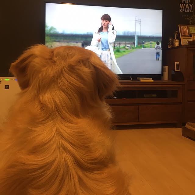 Kazueさんの実例写真