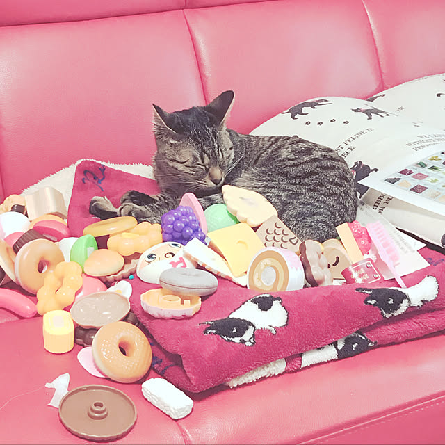Kim0515Yuuさんの実例写真