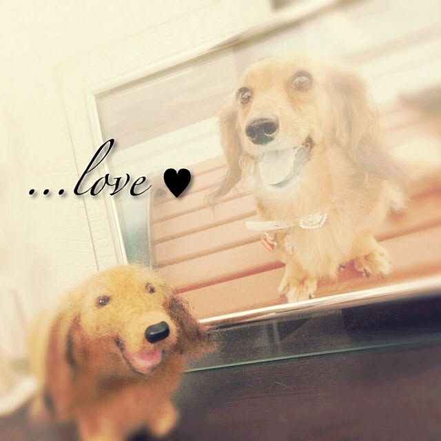 maronさんの実例写真