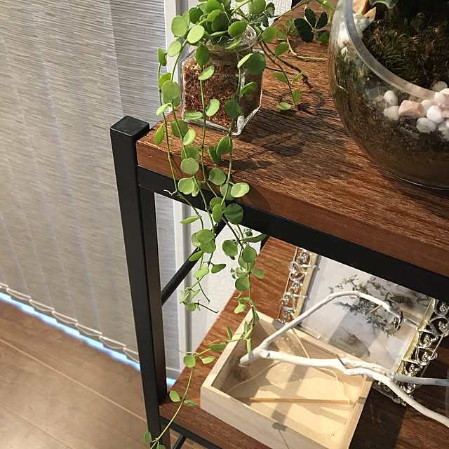 takiさんの実例写真