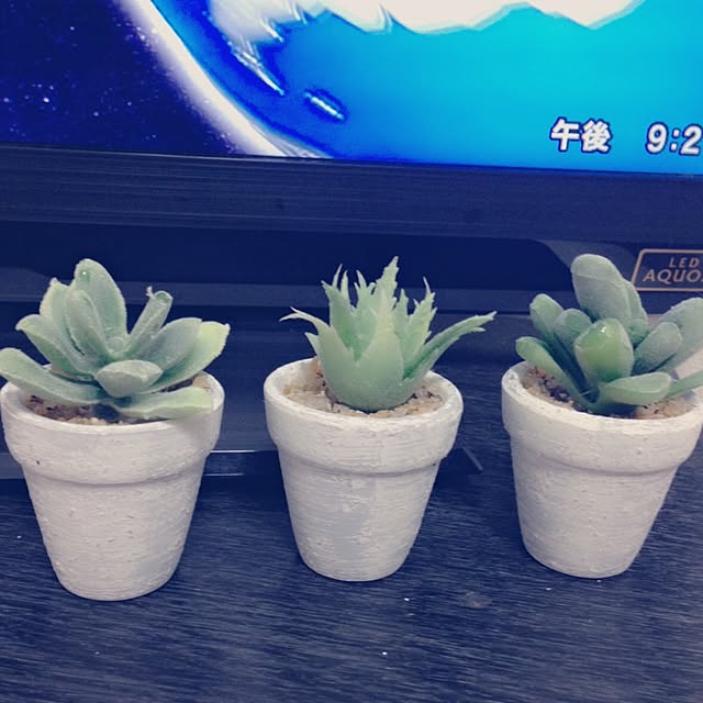 gomasioさんの実例写真