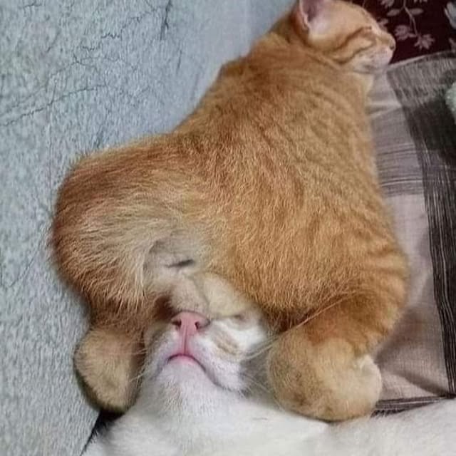 Tackunさんの実例写真