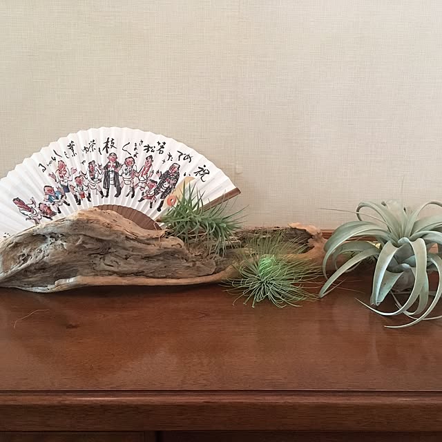 laboomMichikoさんの部屋