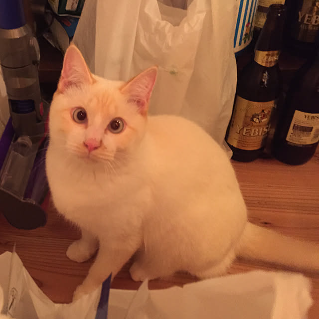 sakurasakuさんの実例写真