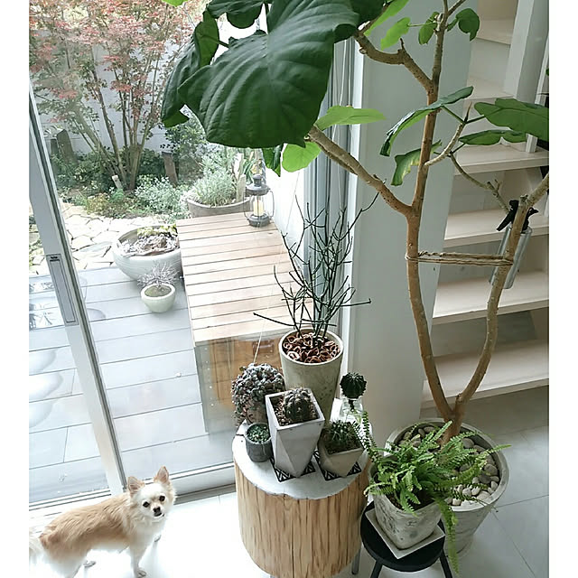 mi-さんの実例写真