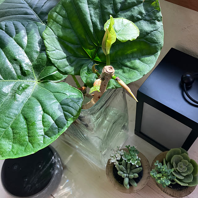 tayuさんの部屋