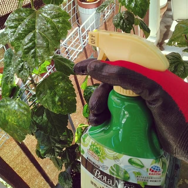 runaさんの実例写真