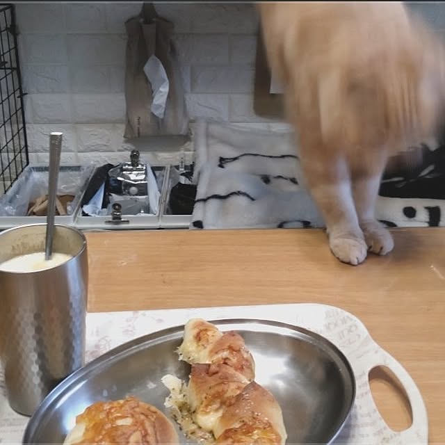 mntcさんの部屋