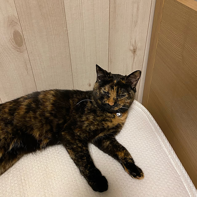 mさんの実例写真