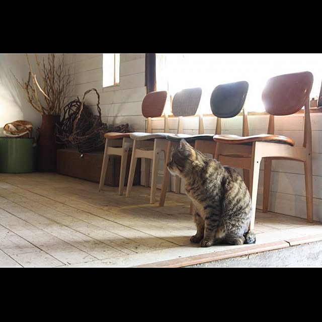 ikpさんの実例写真