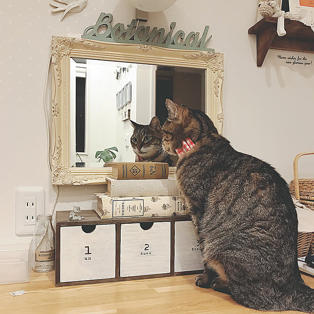 lovecatさんの実例写真