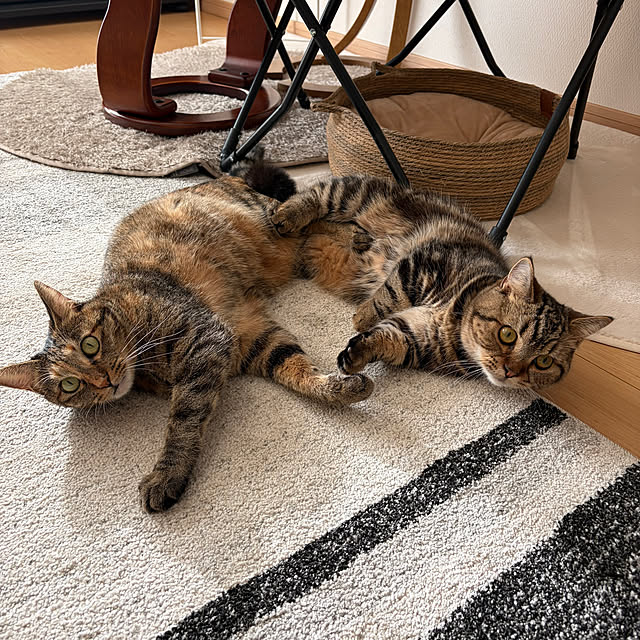 chiiさんの実例写真