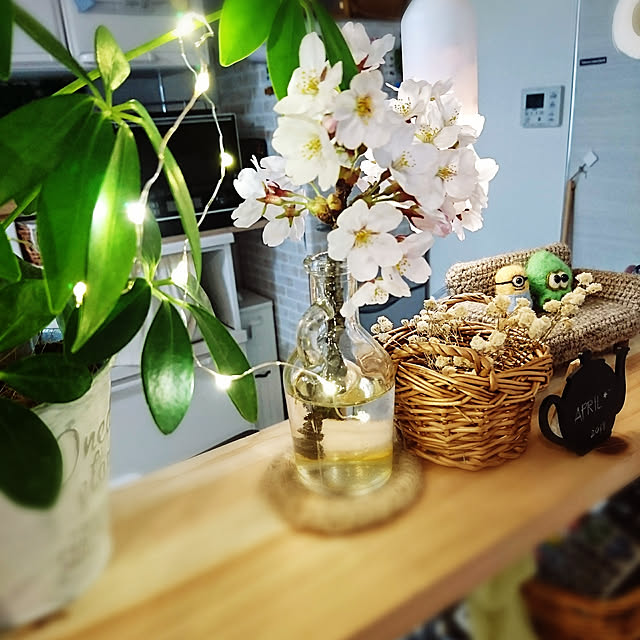 korokkoroさんの実例写真