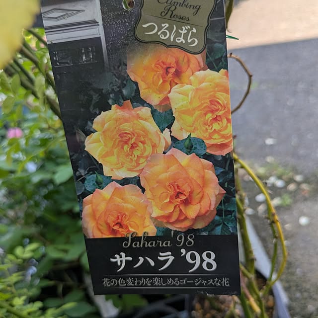 minnieさんの部屋