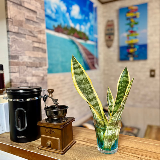 tututu0204さんの部屋