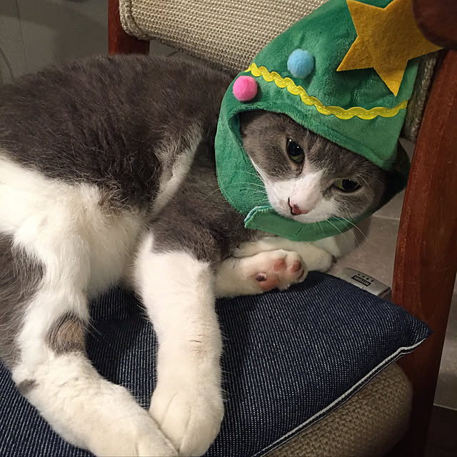 natsumama6566さんの実例写真