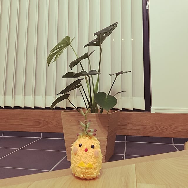 kotatsuさんの実例写真