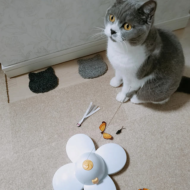 KEIKOさんの実例写真