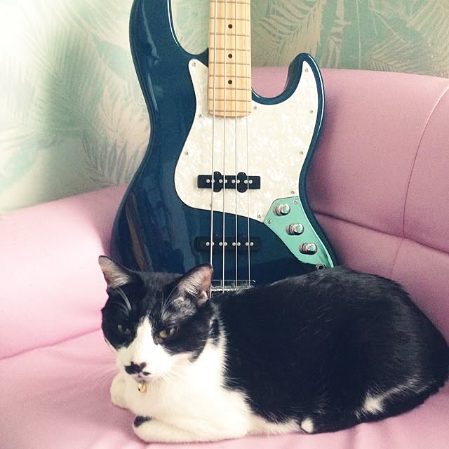 achakoさんの実例写真