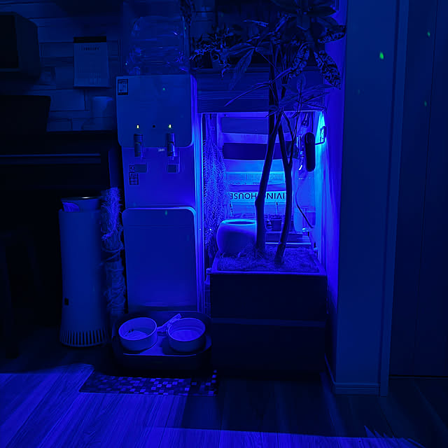 yutaさんの部屋