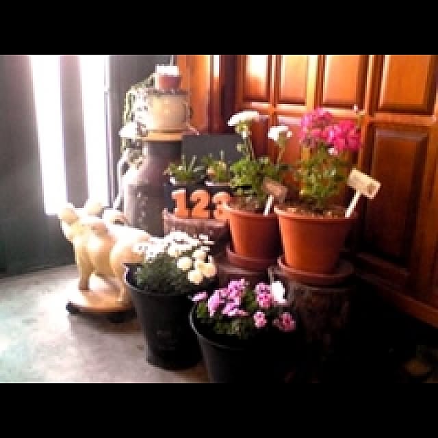 20rose_mamiさんの実例写真