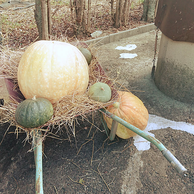 monchimamaさんの実例写真