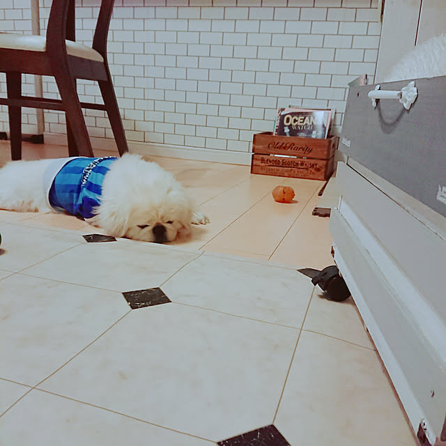 yukagomaさんの実例写真