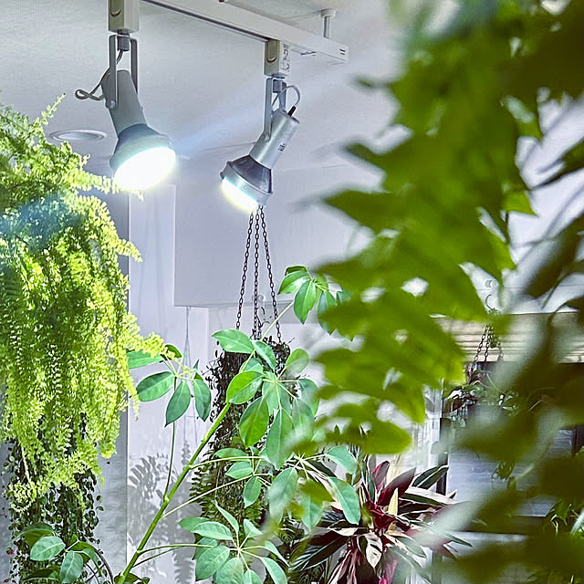 DAYONEさんの実例写真