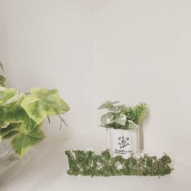 shioriさんの実例写真