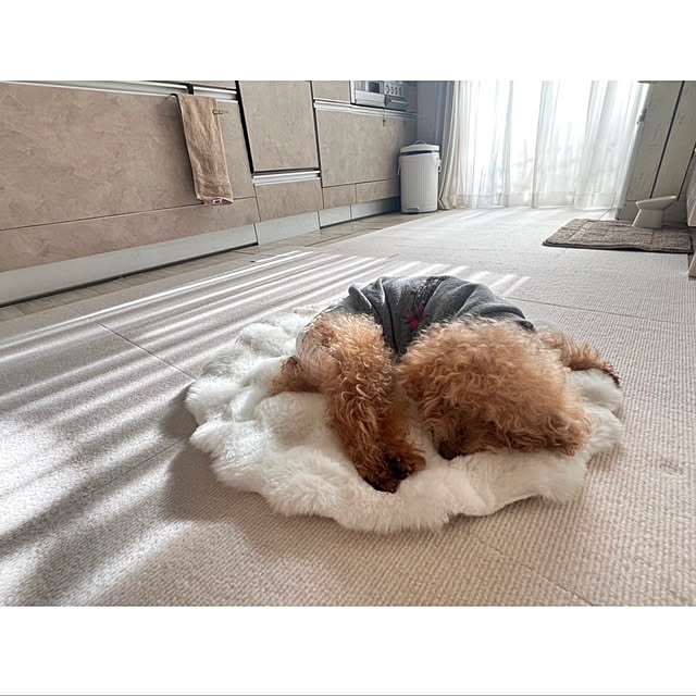 rookuさんの部屋