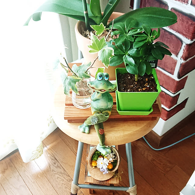 miejun5さんの実例写真