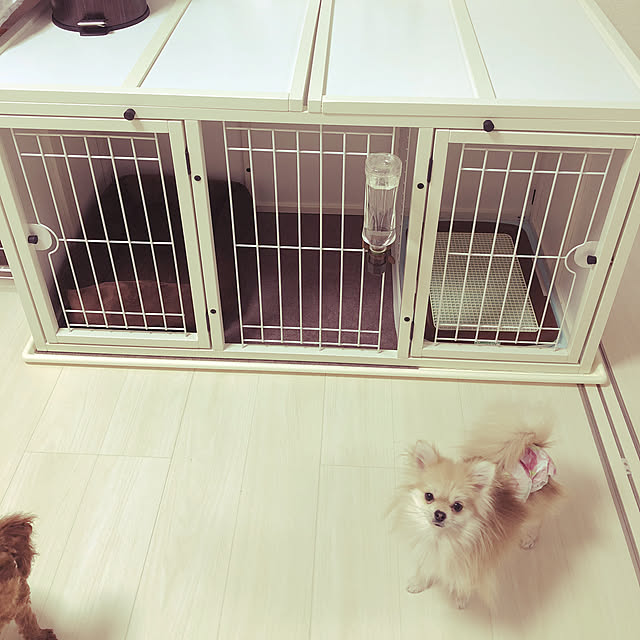 Sayaさんの実例写真