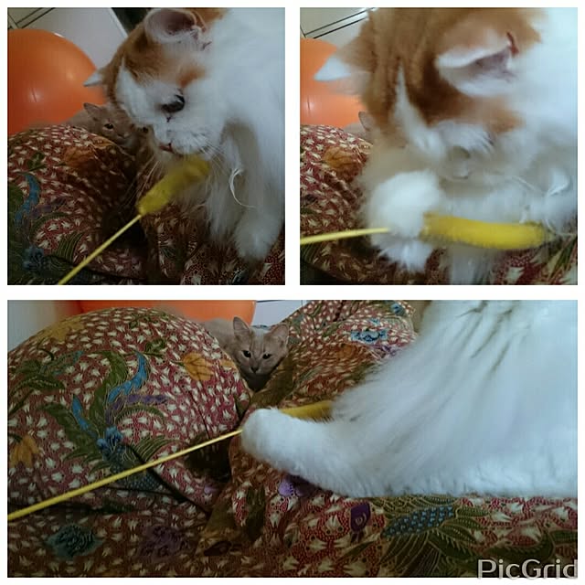 1ldksさんの実例写真