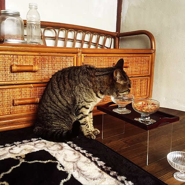 KINGさんの実例写真