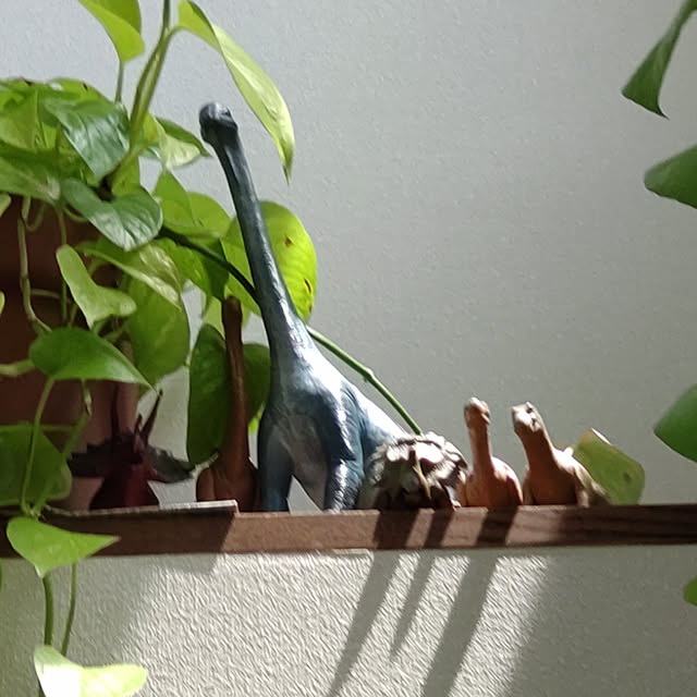 44Lemonさんの実例写真