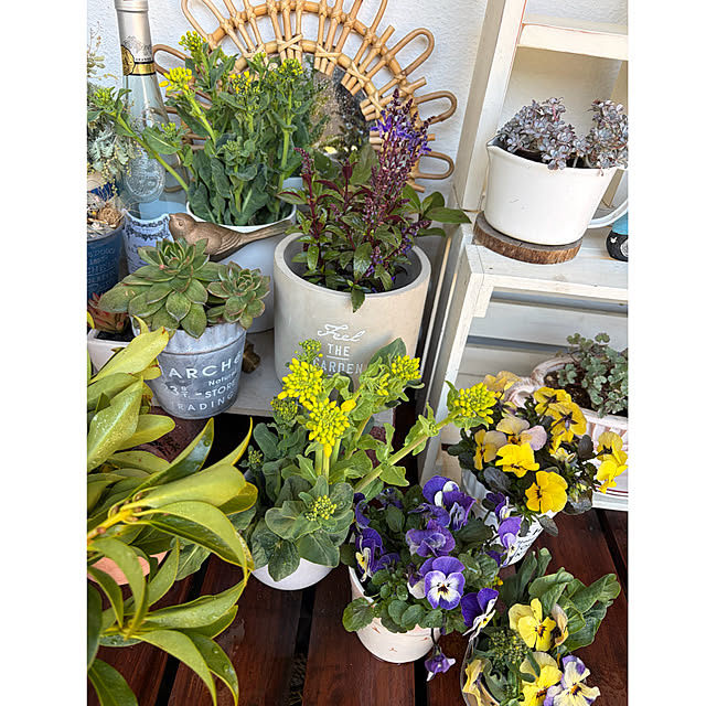 cotaさんの実例写真