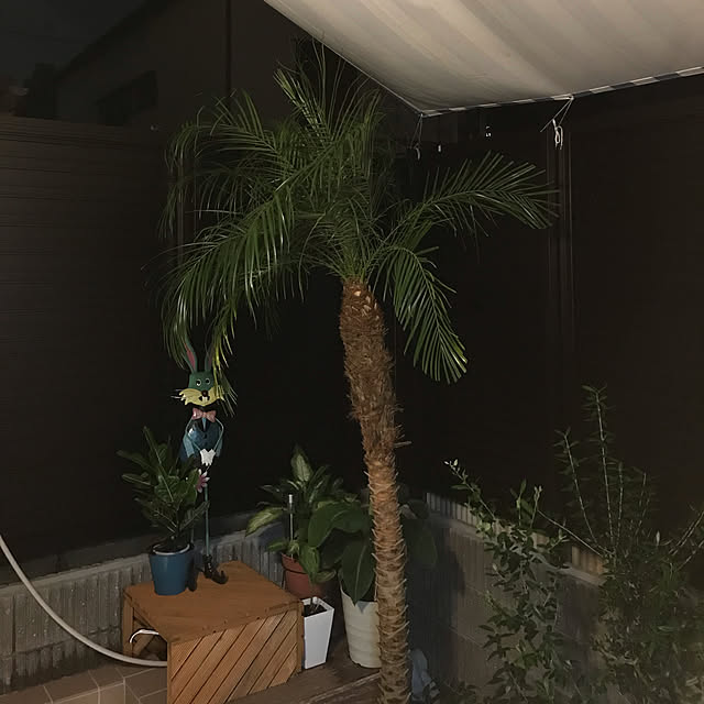 nacchintunnさんの実例写真