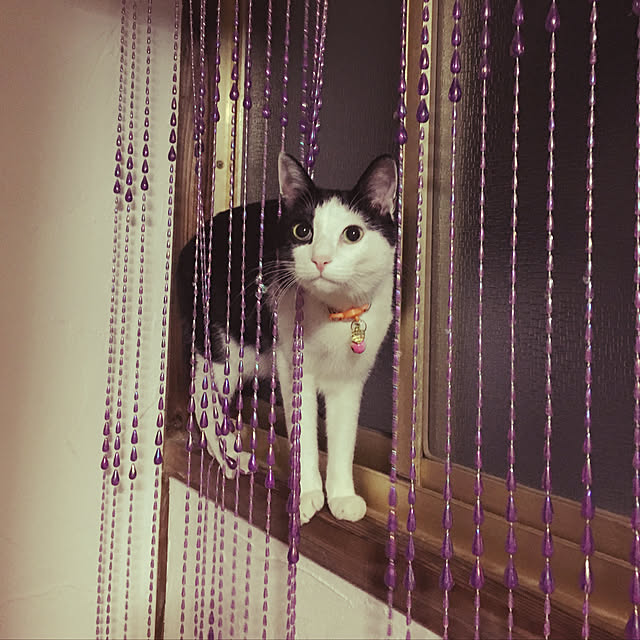cocoithuさんの実例写真