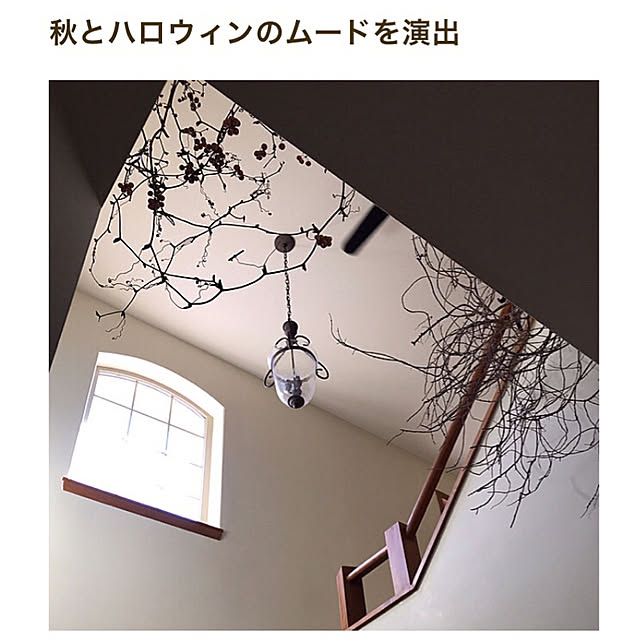 kinu-itoさんの実例写真