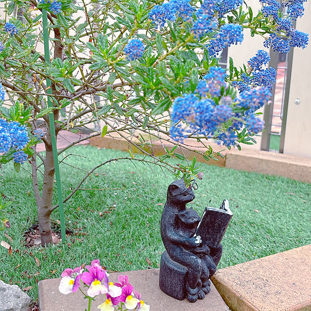 moolさんの部屋