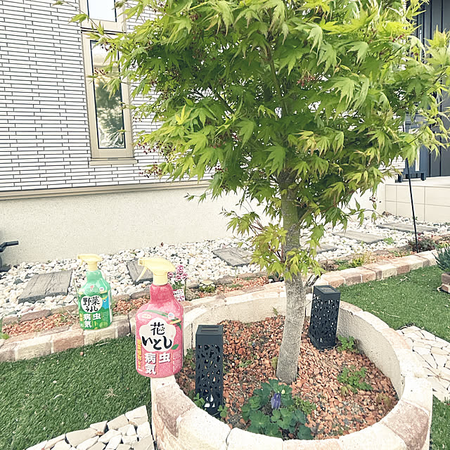 yunyumさんの部屋