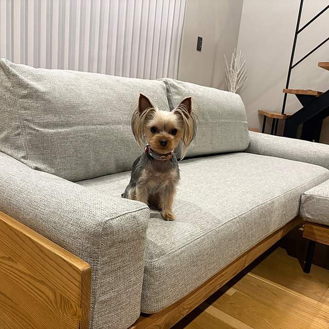 Y33355さんの実例写真