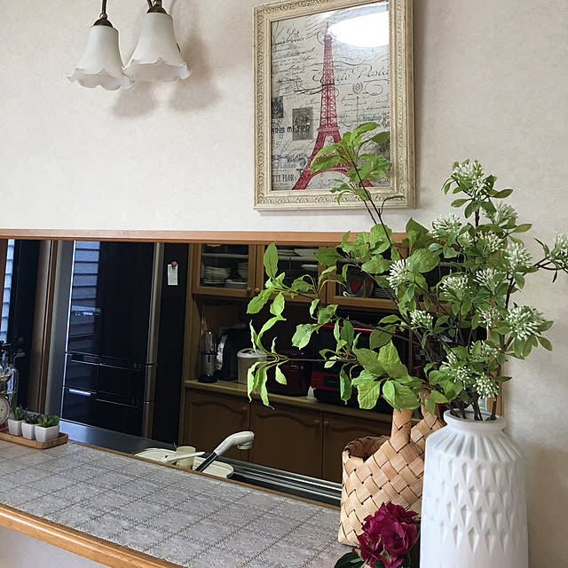 doragon_pansarさんの実例写真
