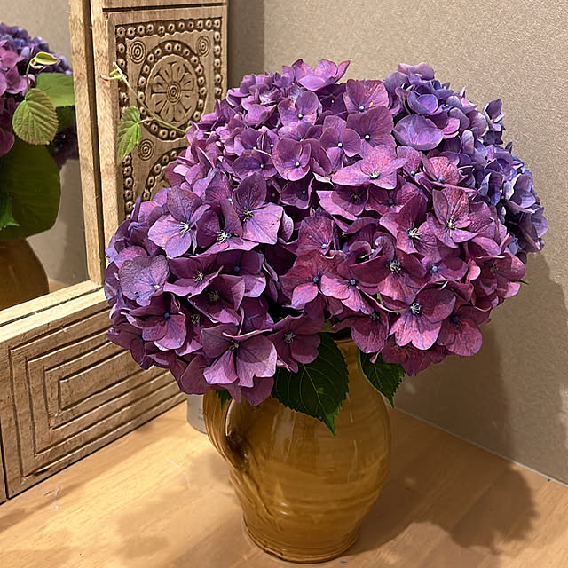 庭のお花/切り花/植物のある暮らし/ピッチャー型花瓶/生花のある暮らし...などのインテリア実例 - 2023-06-19 10:53:44