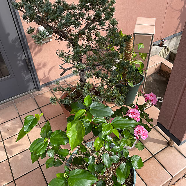 kakoさんの部屋