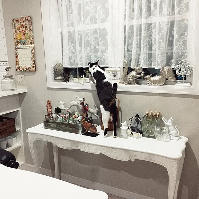 yuchiさんの実例写真