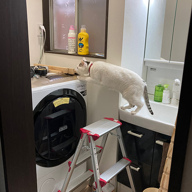 coolcats0528さんの実例写真